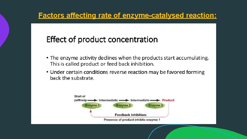 Factors affecting rate of enzyme-catalysed reaction: 