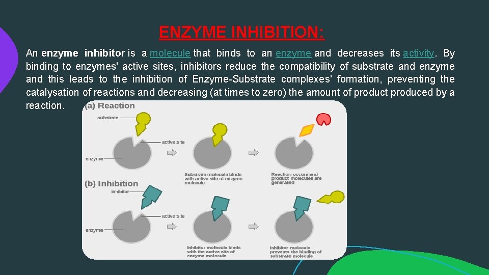 ENZYME INHIBITION: An enzyme inhibitor is a molecule that binds to an enzyme and