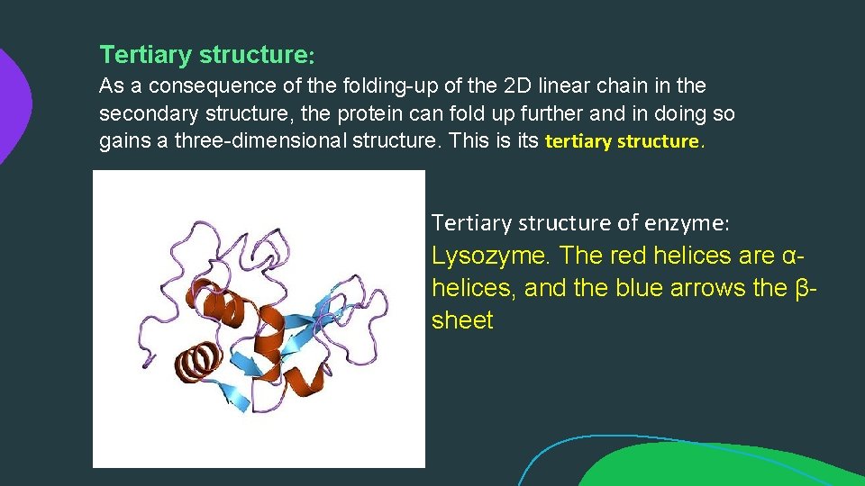 Tertiary structure: As a consequence of the folding-up of the 2 D linear chain