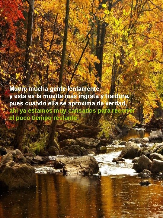 Muere mucha gente lentamente, y esta es la muerte más ingrata y traidora, pues