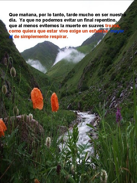 Que mañana, por lo tanto, tarde mucho en ser nuestro día. Ya que no