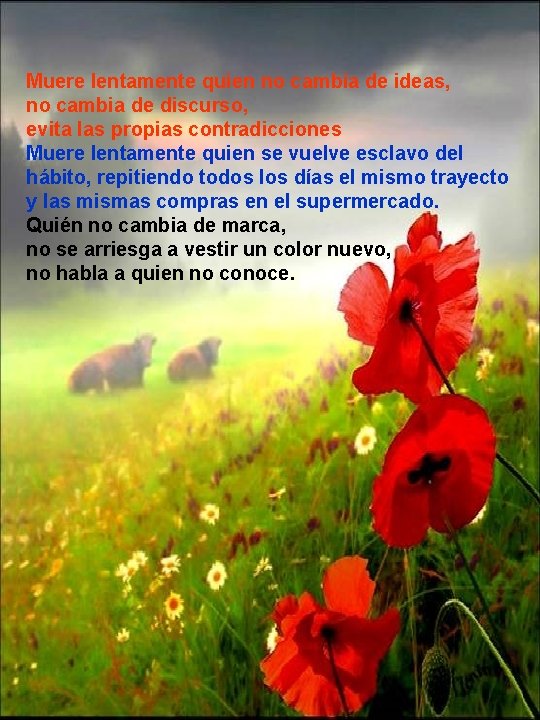 Muere lentamente quien no cambia de ideas, no cambia de discurso, evita las propias