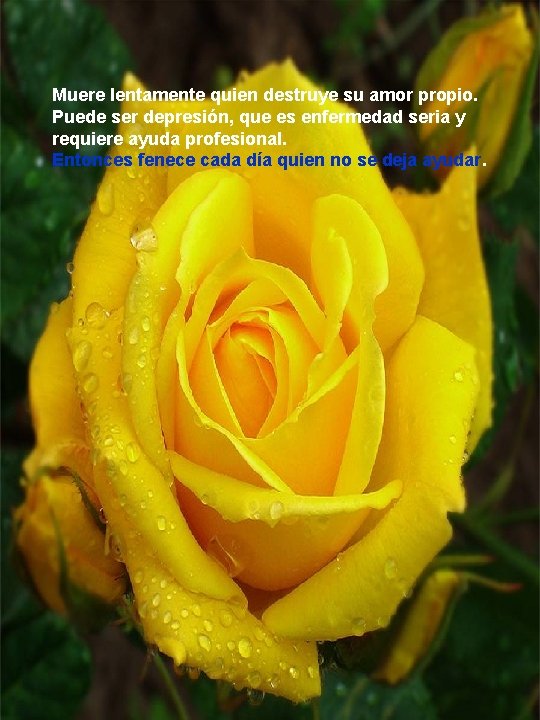 Muere lentamente quien destruye su amor propio. Puede ser depresión, que es enfermedad seria