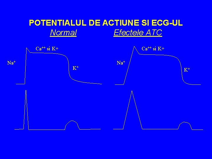 POTENTIALUL DE ACTIUNE SI ECG-UL Normal Efectele ATC Ca++ si K+ Na+ Ca++ si