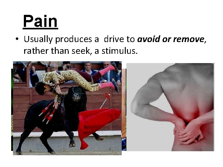 Pain • Usually produces a drive to avoid or remove, rather than seek, a