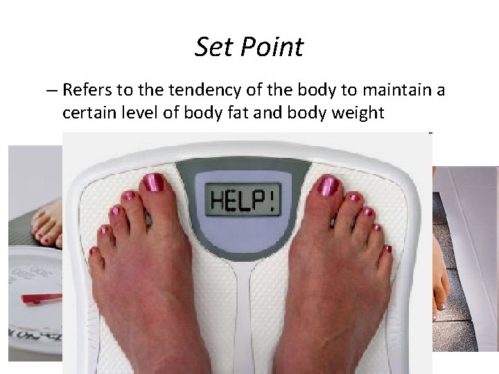 Set Point – Refers to the tendency of the body to maintain a certain