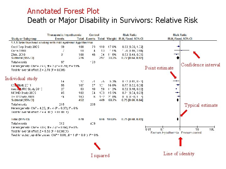 Annotated Forest Plot Death or Major Disability in Survivors: Relative Risk Point estimate Confidence