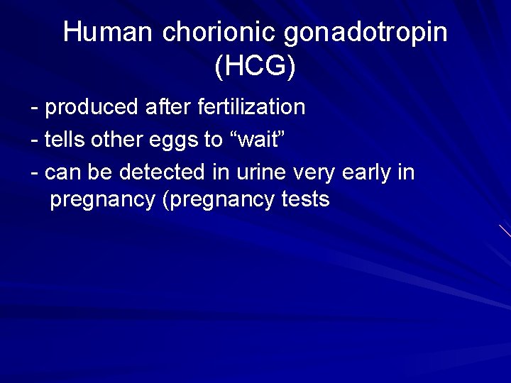Human chorionic gonadotropin (HCG) - produced after fertilization - tells other eggs to “wait”