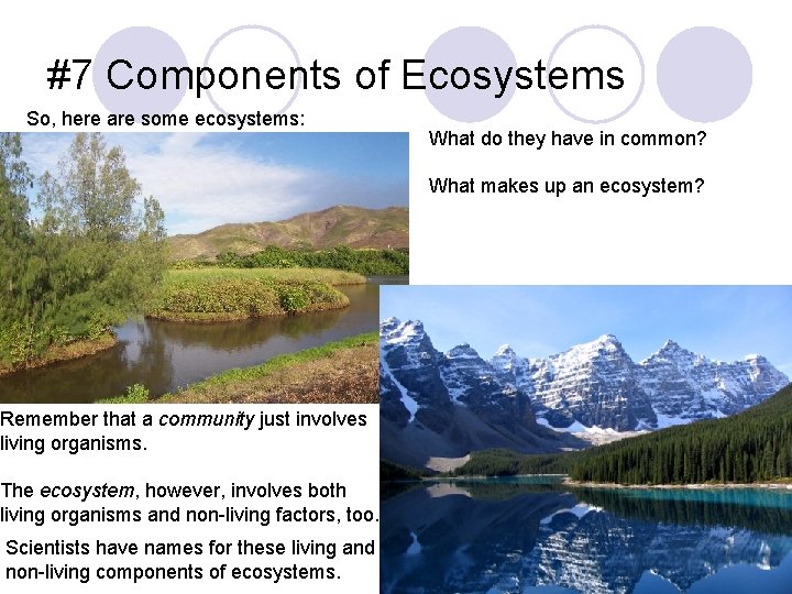 #7 Components of Ecosystems So, here are some ecosystems: What do they have in