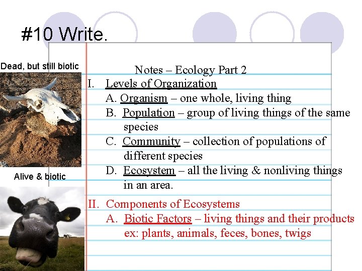 #10 Write. Dead, but still biotic Alive & biotic Notes – Ecology Part 2
