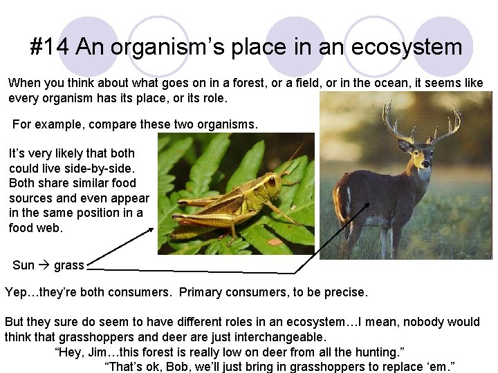 #14 An organism’s place in an ecosystem When you think about what goes on