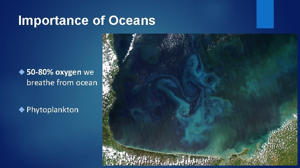 Importance of Oceans 50 -80% oxygen we breathe from ocean Phytoplankton 
