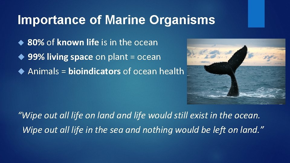Importance of Marine Organisms 80% of known life is in the ocean 99% living