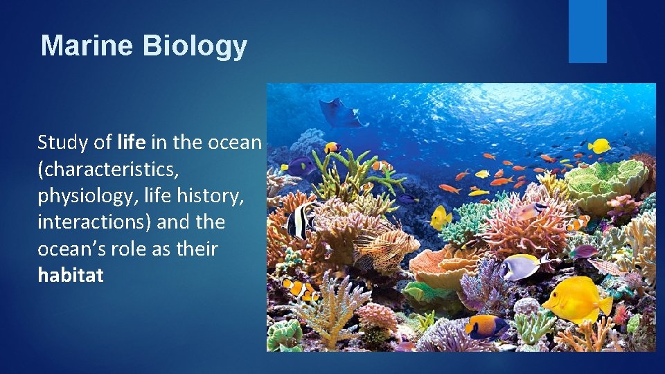 Marine Biology Study of life in the ocean (characteristics, physiology, life history, interactions) and