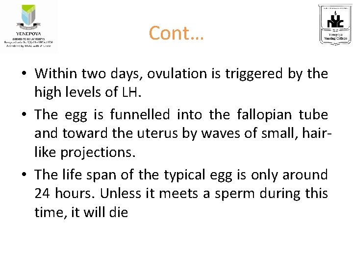 Cont… • Within two days, ovulation is triggered by the high levels of LH.