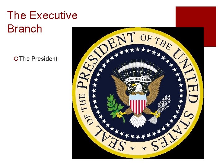 The Executive Branch ¡The President 