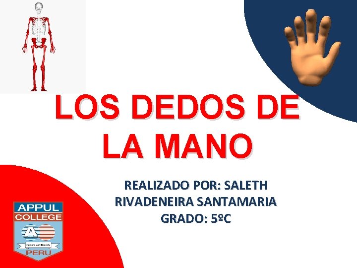 LOS DEDOS DE LA MANO REALIZADO POR: SALETH RIVADENEIRA SANTAMARIA GRADO: 5ºC 