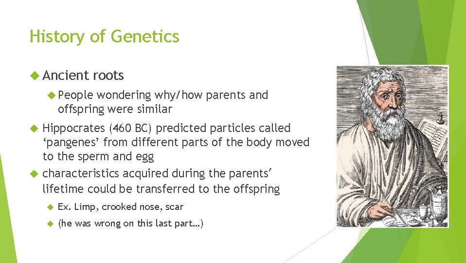 History of Genetics Ancient roots People wondering why/how parents and offspring were similar Hippocrates