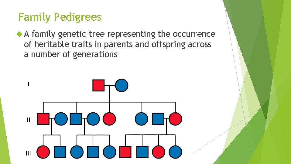 Family Pedigrees A family genetic tree representing the occurrence of heritable traits in parents