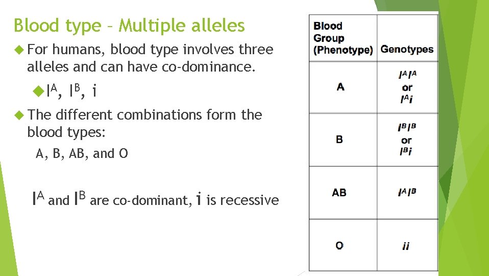 Blood type – Multiple alleles For humans, blood type involves three alleles and can