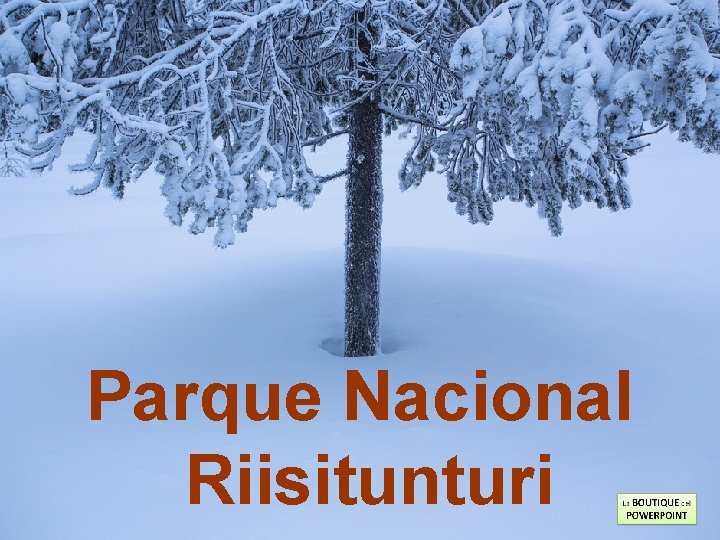 Parque Nacional Riisitunturi 