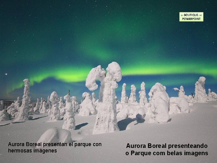 Aurora Boreal presentan el parque con hermosas imágenes Aurora Boreal presenteando o Parque com