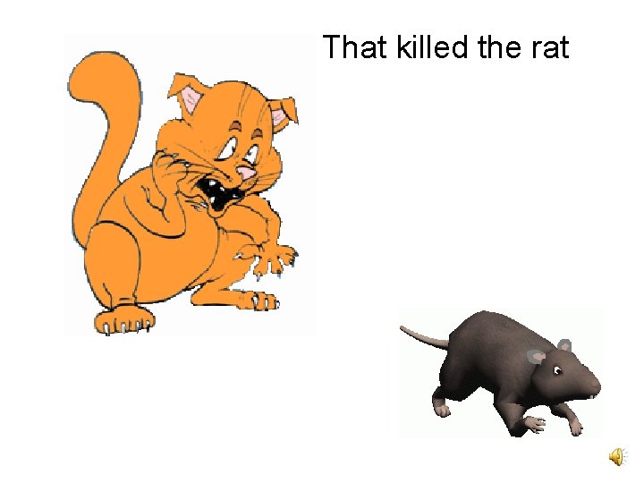 That killed the rat 
