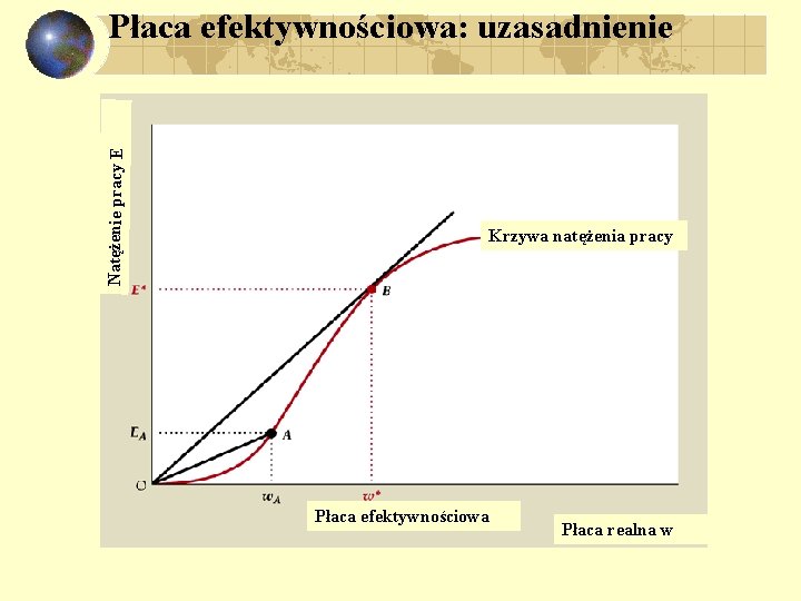 Natężenie pracy E Płaca efektywnościowa: uzasadnienie Krzywa natężenia pracy Płaca efektywnościowa Płaca realna w