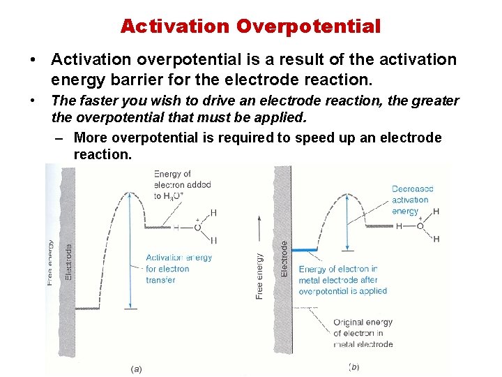 Activation Overpotential • Activation overpotential is a result of the activation energy barrier for