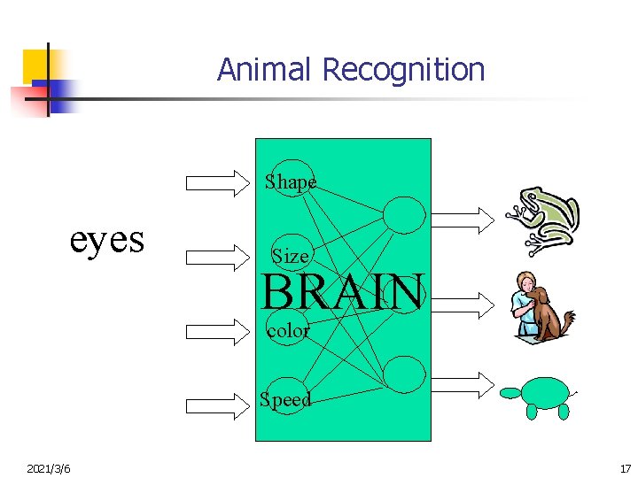 Animal Recognition Shape eyes Size BRAIN color Speed 2021/3/6 17 