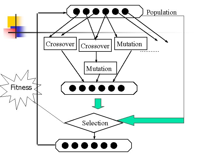 Population Crossover Mutation Fitness Selection Mutation. . . 