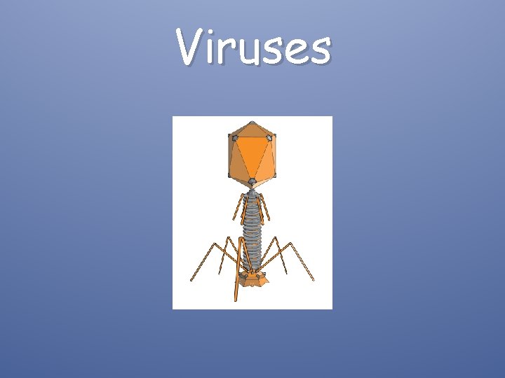 Viruses 