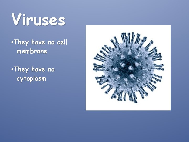 Viruses • They have no cell membrane • They have no cytoplasm 