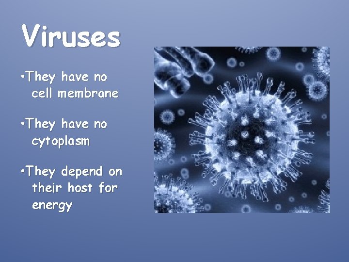 Viruses • They have no cell membrane • They have no cytoplasm • They