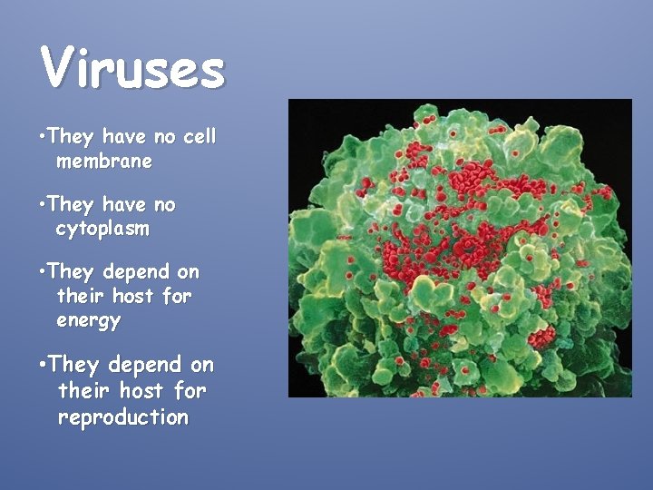 Viruses • They have no cell membrane • They have no cytoplasm • They