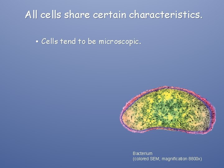 All cells share certain characteristics. • Cells tend to be microscopic. Bacterium (colored SEM;