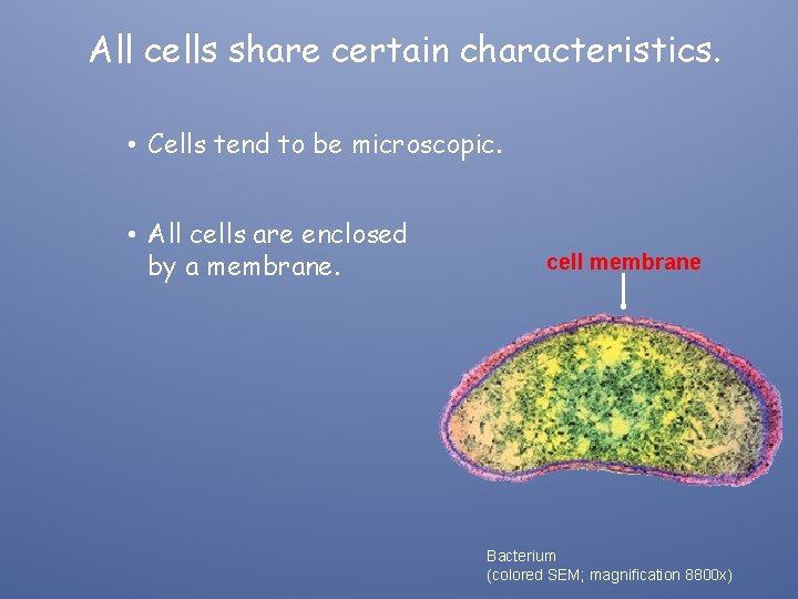 All cells share certain characteristics. • Cells tend to be microscopic. • All cells