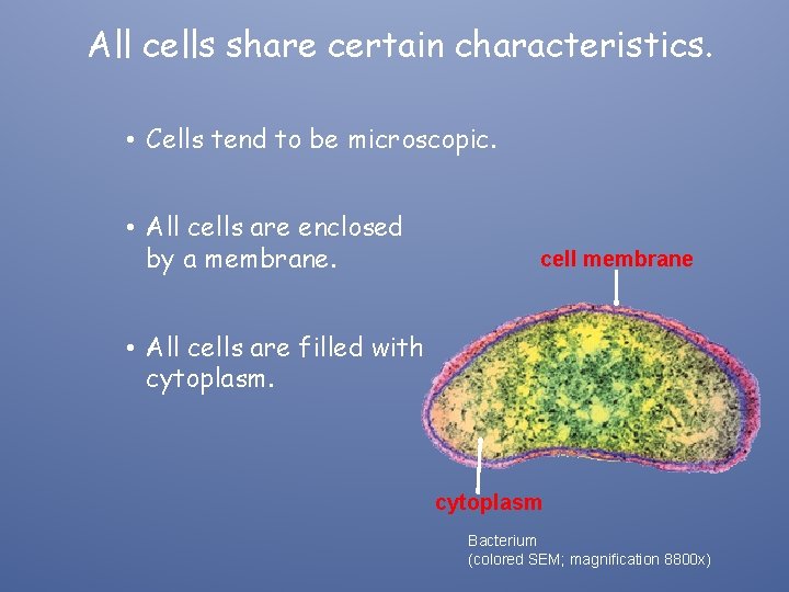 All cells share certain characteristics. • Cells tend to be microscopic. • All cells
