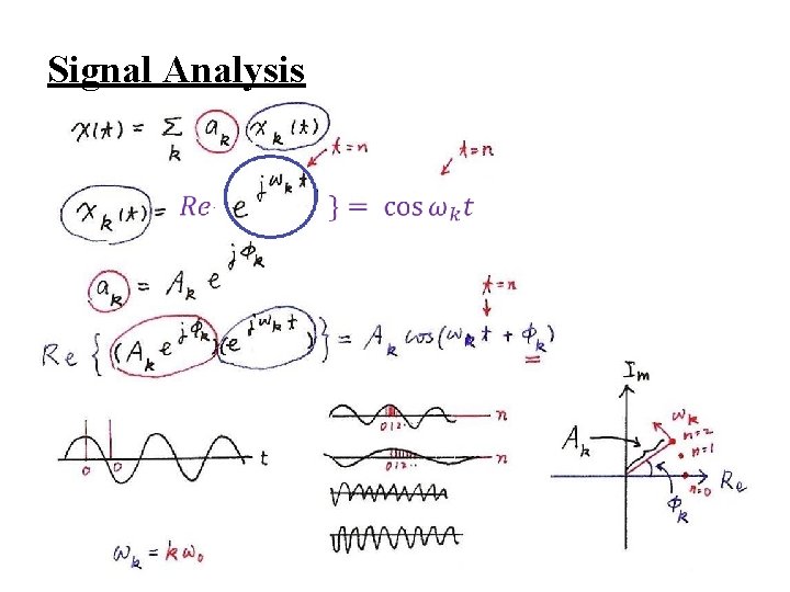 Signal Analysis 