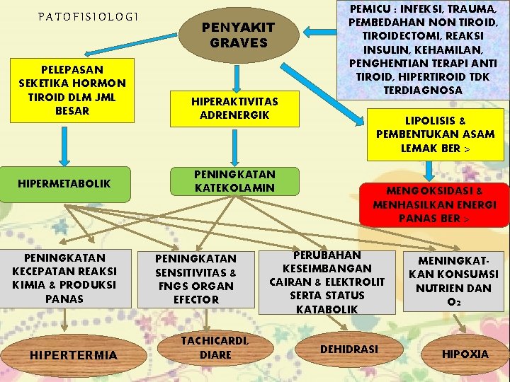 PATOFISIOLOGI PENYAKIT GRAVES PELEPASAN SEKETIKA HORMON TIROID DLM JML BESAR HIPERAKTIVITAS ADRENERGIK HIPERMETABOLIK PENINGKATAN