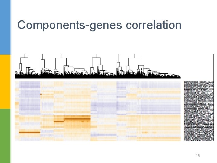 Components-genes correlation 16 