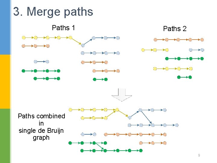 3. Merge paths Paths 1 Paths 2 Paths combined in single de Bruijn graph