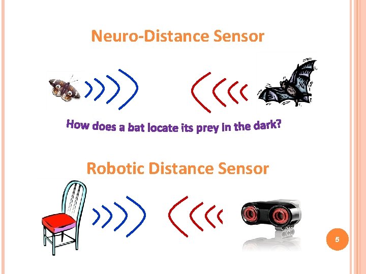 Neuro-Distance Sensor Robotic Distance Sensor 5 