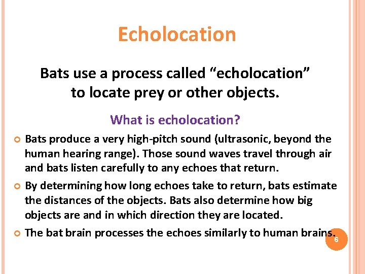 Echolocation Bats use a process called “echolocation” to locate prey or other objects. What