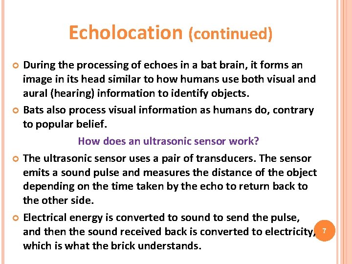 Echolocation (continued) During the processing of echoes in a bat brain, it forms an