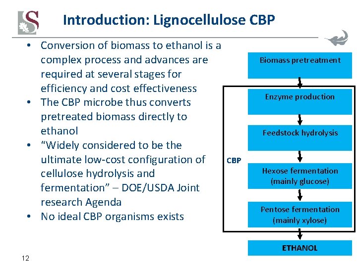 Introduction: Lignocellulose CBP • Conversion of biomass to ethanol is a complex process and