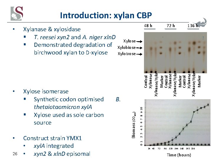 Introduction: xylan CBP Xylanase & xylosidase § T. reesei xyn 2 and A. niger