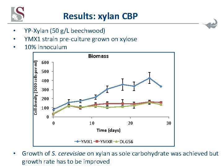 Results: xylan CBP YP-Xylan (50 g/L beechwood) YMX 1 strain pre-culture grown on xylose