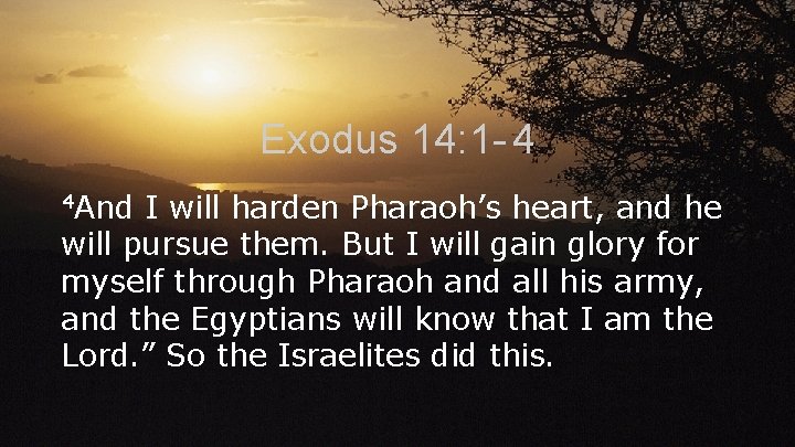 Exodus 14: 1 - 4 4 And I will harden Pharaoh’s heart, and he