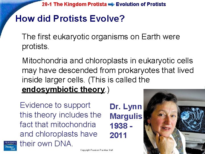 20 -1 The Kingdom Protista Evolution of Protists How did Protists Evolve? The first 20 -1 The Kingdom Protista Evolution of Protists How did Protists Evolve? The first
